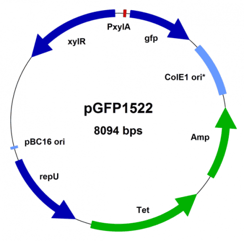 BMEG10C vector map